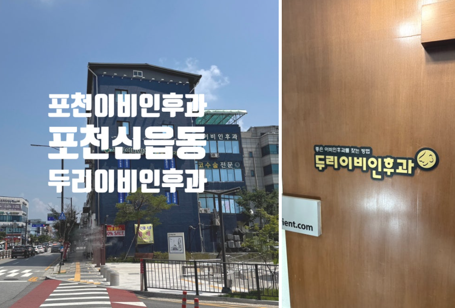 포천 이비인후과 귀 통증 붓기로 다녀온 포천 두리이비인후과 후기 화면 캡처 2